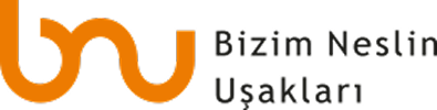 BNU
