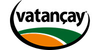 Vatan çay